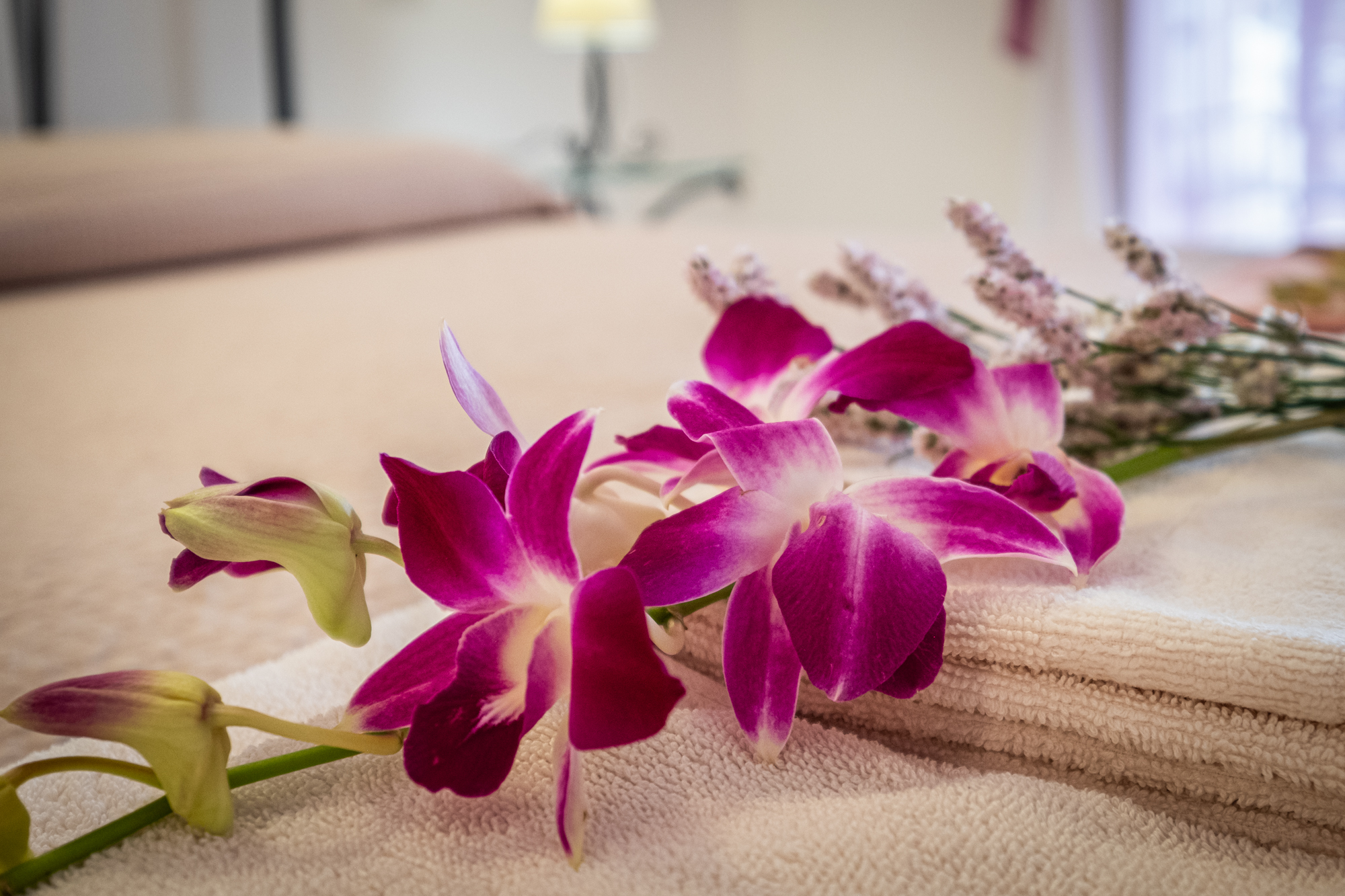 Carloforte - Il sole del Genarbi